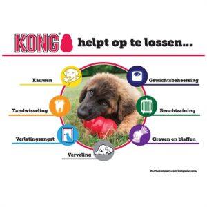 Kong Puppy Roze Of Blauw Assorti - Afbeelding 7