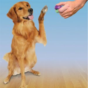 Clik-R Petsafe Clicker Voor Training - Afbeelding 3