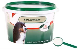 Primeval Gelatinaat Hond - Afbeelding 2