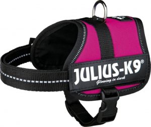 Julius K9 Power-Harnas / Tuig Voor Labels Fuchsia - Afbeelding 2