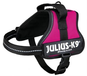 Julius K9 Power-Harnas / Tuig Voor Labels Fuchsia - Afbeelding 3