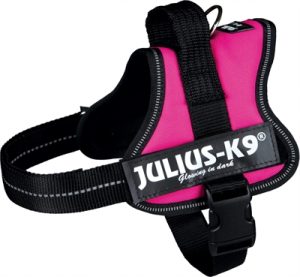 Julius K9 Power-Harnas / Tuig Voor Labels Fuchsia - Afbeelding 4