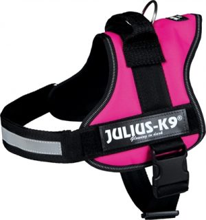 Julius K9 Power-Harnas / Tuig Voor Labels Fuchsia - Afbeelding 5