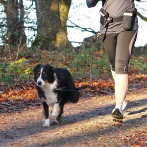 Trixie Heupriem Met Jogginglijn Zwart - Afbeelding 2