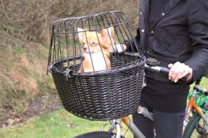 Trixie Wilgen Fietsmand Voorop Zwart Met Kussen En Kap - Afbeelding 9