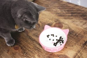 Happy Pet Voerbak Kat Polka Roze / Creme - Afbeelding 2