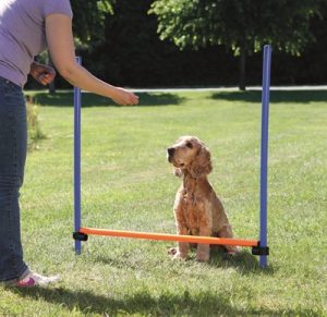 Trixie Dog Activity Agility Horde Blauw / Oranje - Afbeelding 2