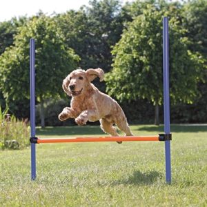 Trixie Dog Activity Agility Horde Blauw / Oranje - Afbeelding 3