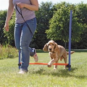 Trixie Dog Activity Agility Horde Blauw / Oranje - Afbeelding 4