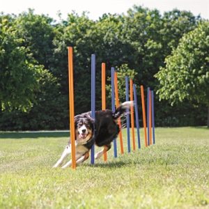 Trixie Dog Activity Agility Slalom Stokken Blauw / Oranje - Afbeelding 5