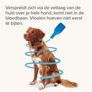 Beaphar Fiprotec Hond Tegen Teken En Vlooien - Afbeelding 7