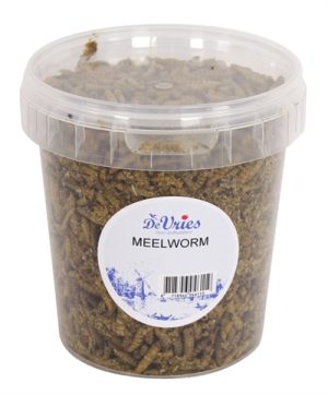 De Vries Meelworm Black Soldier Fly - Afbeelding 4