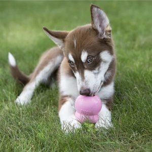 Kong Easy Treat Puppy - Afbeelding 3