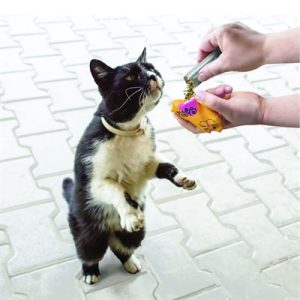 Kong Refillables Catnip Kattenkruid Buisjes - Afbeelding 3