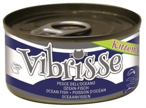 Vibrisse Kittens Cat Oceaanvis