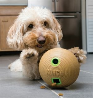 Kong Bamboo Feeder Bal Voerbal - Afbeelding 2