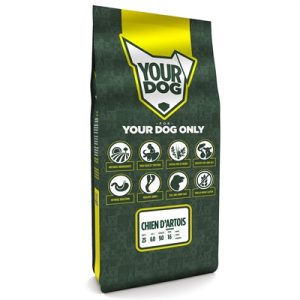 Yourdog Chien D'artois Senior