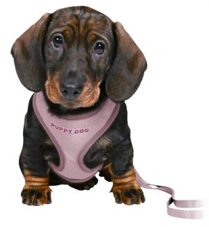 Trixie Junior Puppytuig Soft Met Riem Lila - Afbeelding 2