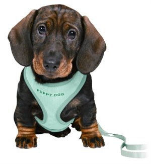 Trixie Junior Puppytuig Soft Met Riem Mintgroen - Afbeelding 2