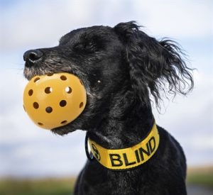 Trixie Gatenbal Natuurrubber Met Bel Voor Blinde Of Gehandicapte Hond - Afbeelding 3