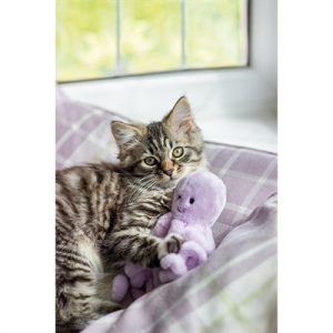 Jolly Moggy Under The Sea Octopus - Afbeelding 4