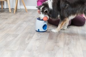 Trixie Dog Activity Strategiespel Ball&Treat Wit / Blauw - Afbeelding 12