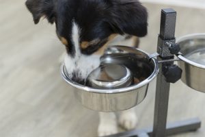 Trixie Voerbak Hond Slow Feeding Rvs - Afbeelding 5