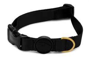 Morso Halsband Hond Gerecycled Gold Caviar Goud - Afbeelding 8