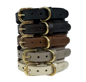 Sazzz Halsband Hond Pioneer Classic Leer Creme - Afbeelding 3