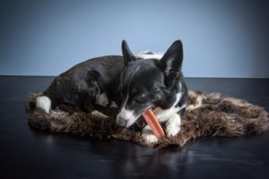 Henart Yak Kaas Met Aardbeismaak - Afbeelding 2