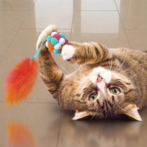 Kong Cat Active Bubble Bal Assorti - Afbeelding 6