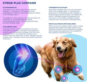 Trm Stride Plus - Afbeelding 5