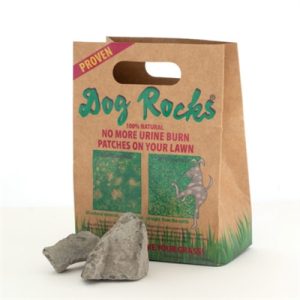 Dog Rocks - Afbeelding 5