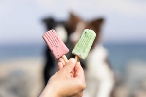 Trixie Ice Pop Groen - Afbeelding 6