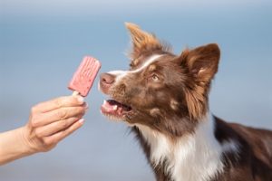 Trixie Ice Pop Groen - Afbeelding 9