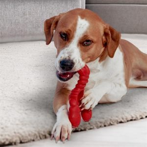 Nylabone Extreme Chew Lobster Filet Mignonsmaak - Afbeelding 3