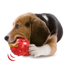 Nylabone Strong Rubber Cone Baconsmaak - Afbeelding 4