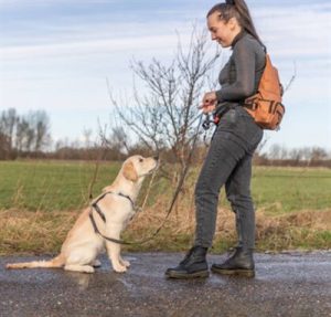 Trixie Rolltop Rugtas Met Heuptas Met Riem Roest - Afbeelding 8