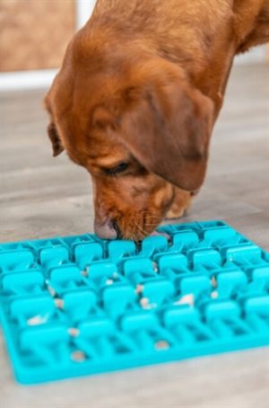 Trixie Lick 'N' Snackmat Siliconen Blauw - Afbeelding 11