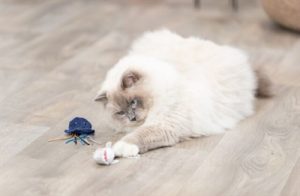 Trixie Zeedieren Pluche Met Catnip Assorti - Afbeelding 4