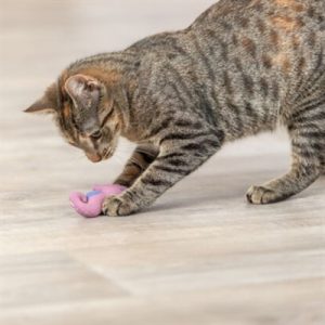 Trixie Zeepaard Pluche Met Catnip Assorti - Afbeelding 6