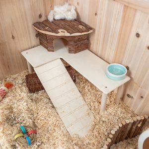 Trixie Platform Met Helling Voor Muizen / Hamsters Onbehandeld Hout - Afbeelding 6