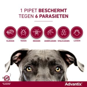 Bayer Elanco Advantix Spot On - Afbeelding 2