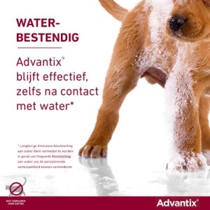 Bayer Elanco Advantix Spot On - Afbeelding 7