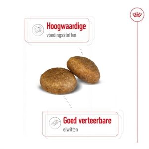 Royal Canin Maxi Adult - Afbeelding 2