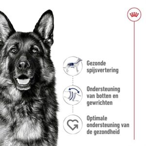 Royal Canin Maxi Adult - Afbeelding 3