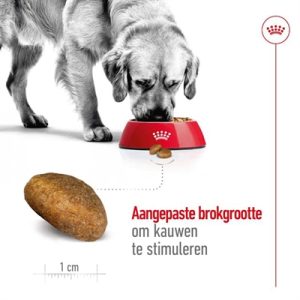 Royal Canin Maxi Adult - Afbeelding 4