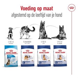 Royal Canin Maxi Adult - Afbeelding 5