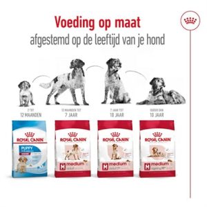 Royal Canin Medium Adult - Afbeelding 5