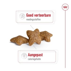 Royal Canin Mini Adult - Afbeelding 2